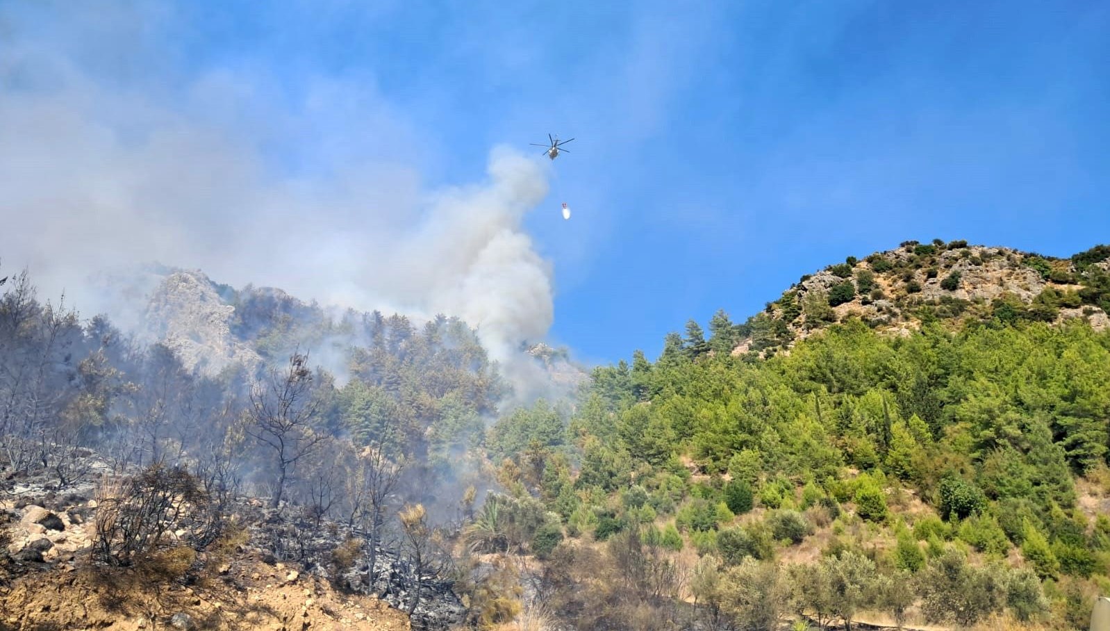 serikteki orman yanginina bir gozalti yBmU2VHc