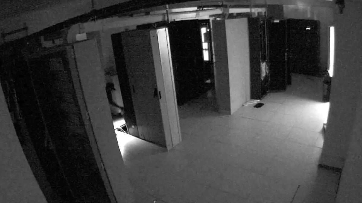 adanada gunes enerji santralinde hirsizlik cJh8OBD8.jpg