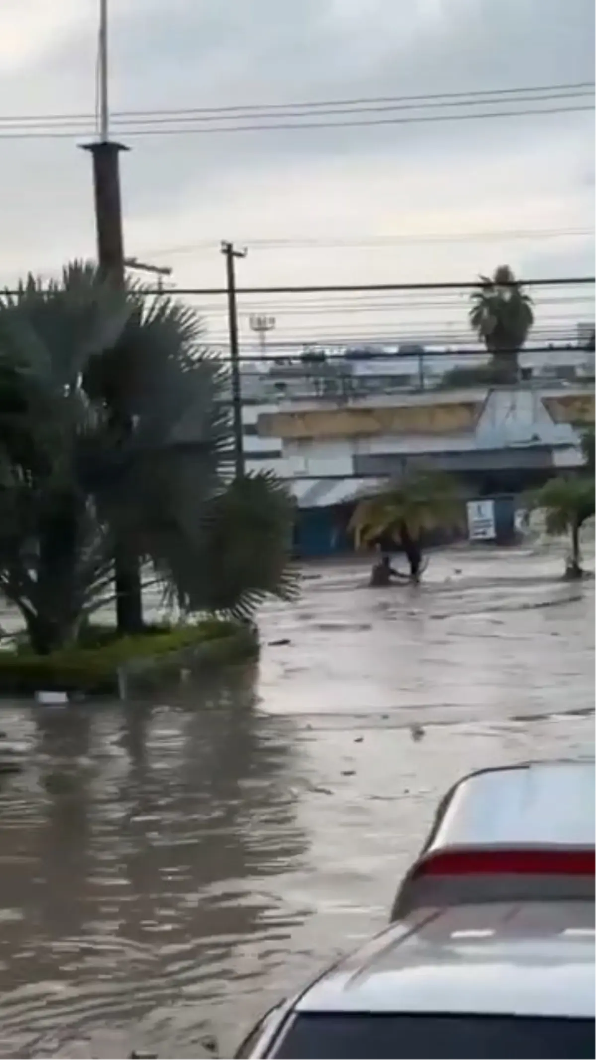 meksikada siddetli yagislar sele neden oldu 41 olu 3NrE1nuB.jpg