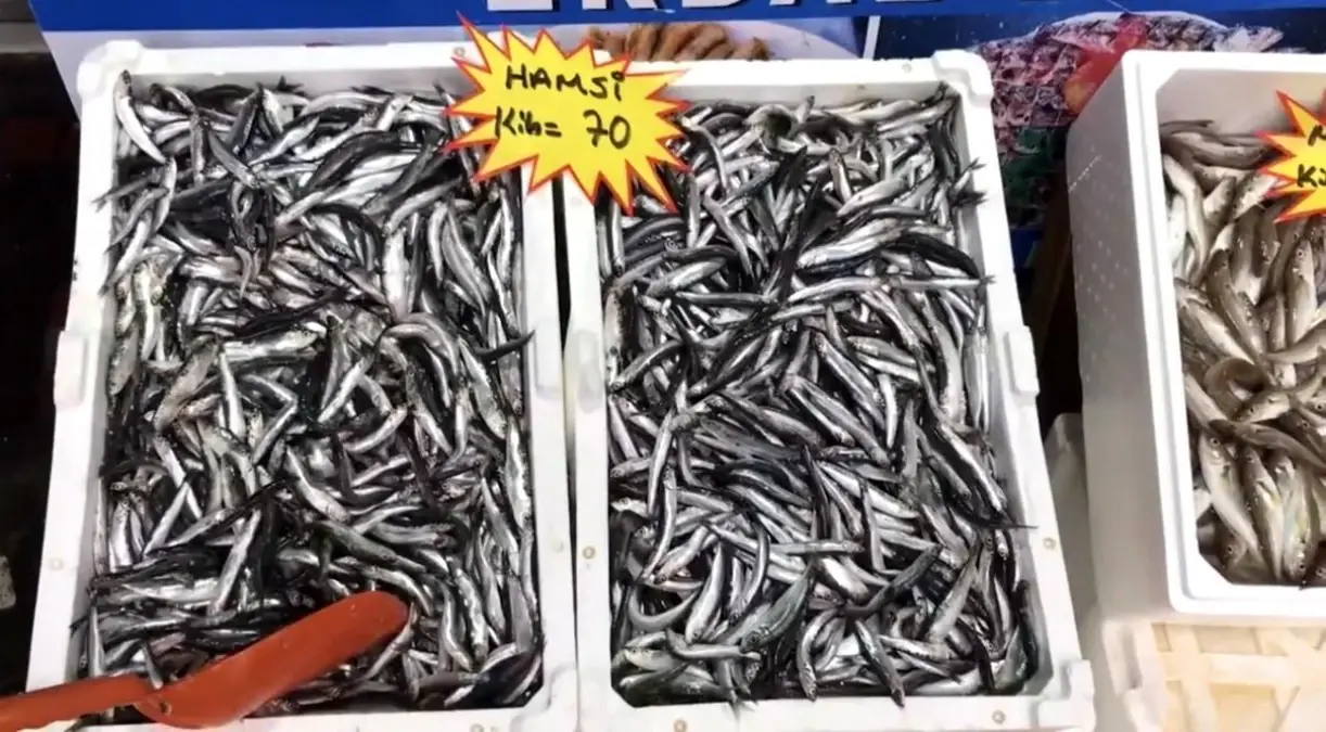 akcakoca balikci barinagi baskanindan taze balik uyarisi MALC3yJB.jpg