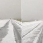Bir anda bastırdı, karayolu beyaza büründü! Sürücüler zor anlar yaşadı