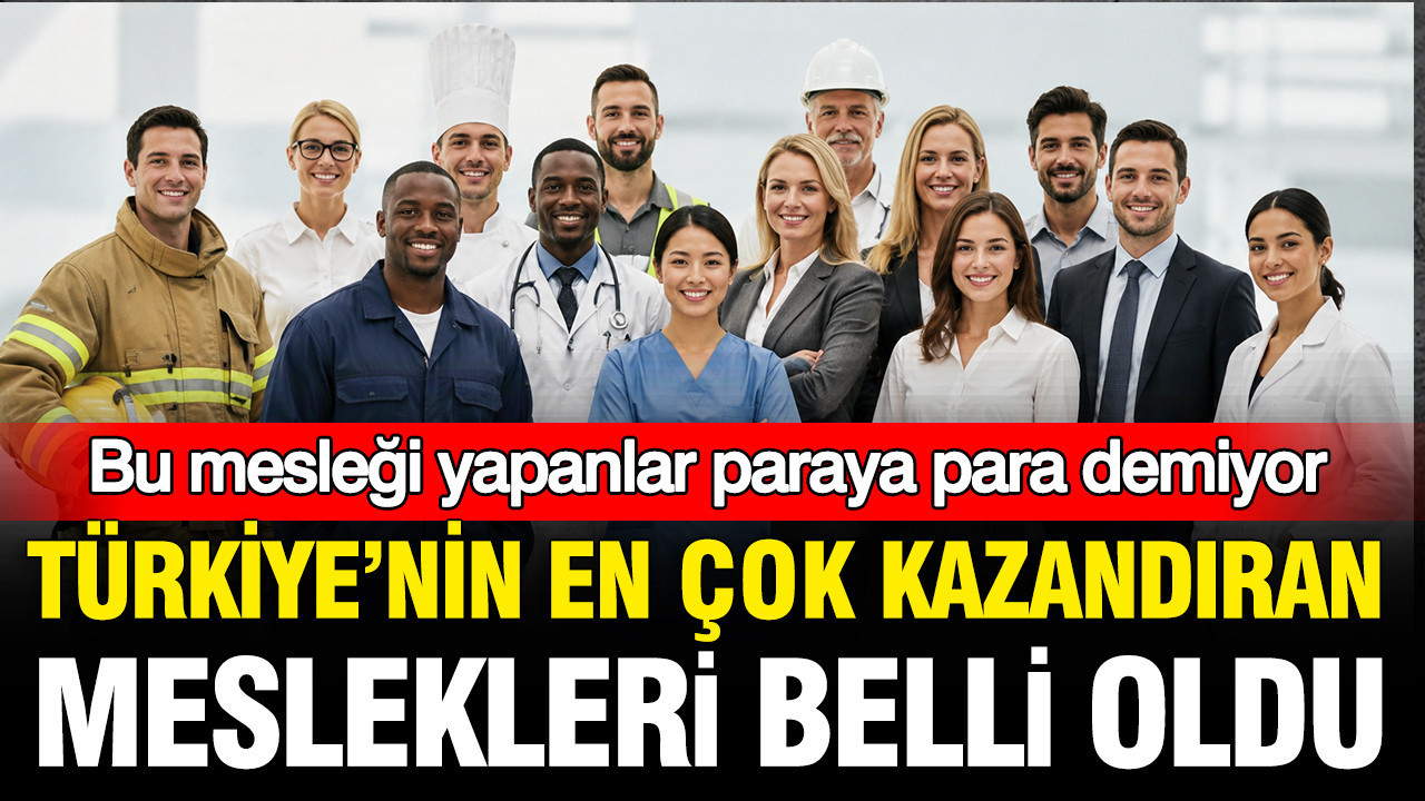 TUİK verileri açıklandı: Türkiye’nin en çok para kazandıran meslekleri belli oldu Img